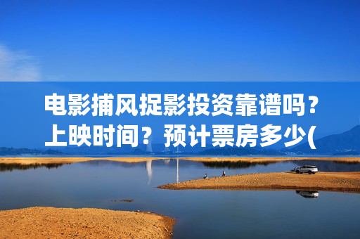 电影捕风捉影投资靠谱吗？上映时间？预计票房多少(捕风捉影电影出品方)