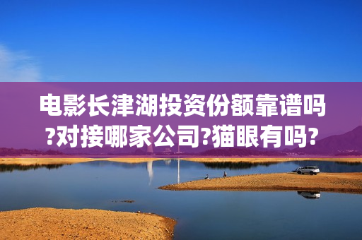 电影长津湖投资份额靠谱吗?对接哪家公司?猫眼有吗?(长津湖这部电影投资了多少钱)