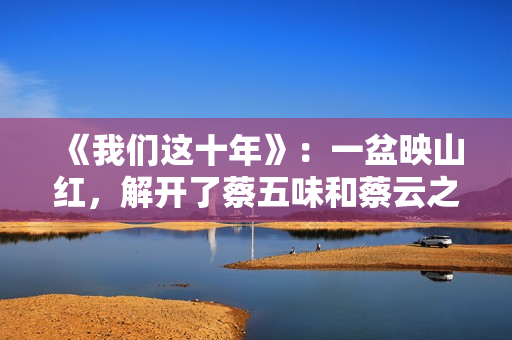 《我们这十年》：一盆映山红，解开了蔡五味和蔡云之间的父女情仇