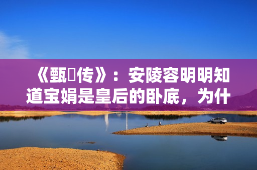 《甄嬛传》:安陵容明明知道宝娟是皇后的卧底,为什么不揭露? 《甄嬛传》:安陵容明明知道宝娟是皇后的卧底,为什么不揭露?