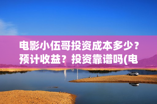 电影小伍哥投资成本多少？预计收益？投资靠谱吗(电影小伍哥导演)