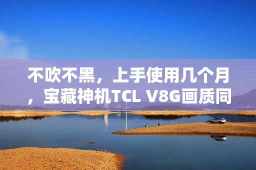 不吹不黑，上手使用几个月，宝藏神机TCL V8G画质同价位最强
