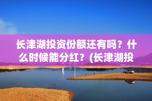 长津湖投资份额还有吗？什么时候能分红？(长津湖投资规模)