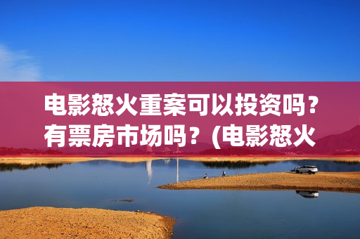 电影怒火重案可以投资吗？有票房市场吗？(电影怒火重案可以在哪看)