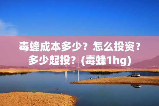 毒蜂成本多少？怎么投资？多少起投？(毒蜂1hg)