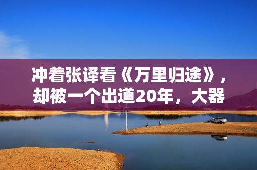 冲着张译看《万里归途》，却被一个出道20年，大器晚成的演员吸粉,出色英超足球赛事，点击进入！