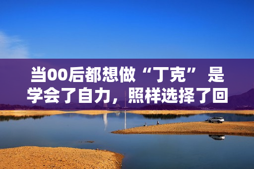 当00后都想做“丁克” 是学会了自力，照样选择了回避？