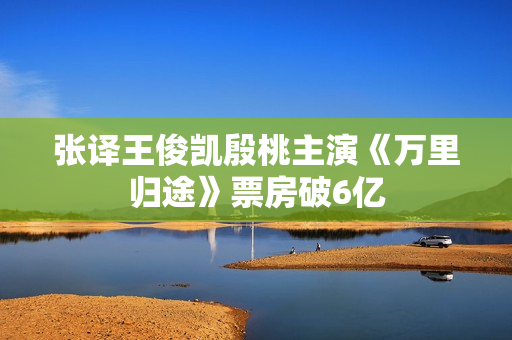 张译王俊凯殷桃主演《万里归途》票房破6亿