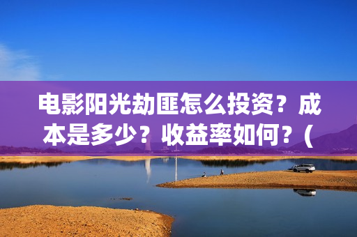 电影阳光劫匪怎么投资？成本是多少？收益率如何？(电影阳光劫匪最后看不懂)