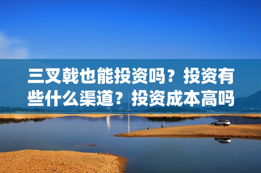 三叉戟也能投资吗？投资有些什么渠道？投资成本高吗？(三叉戟哪个公司投资的)