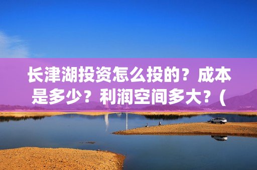 长津湖投资怎么投的？成本是多少？利润空间多大？(长津湖投资收益)