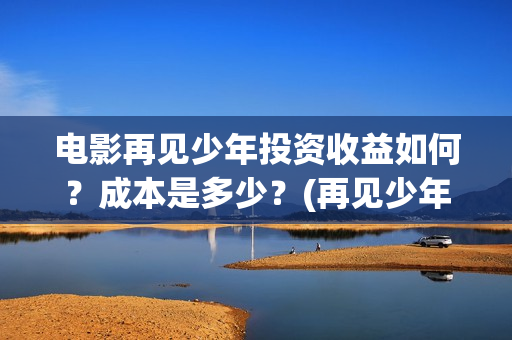 电影再见少年投资收益如何？成本是多少？(再见少年电影简介)