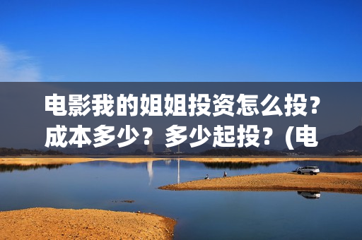 电影我的姐姐投资怎么投？成本多少？多少起投？(电影我的姐姐投屏观看)