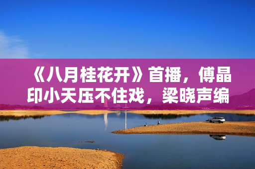 《八月桂花开》首播，傅晶印小天压不住戏，梁晓声编剧缺厚重
