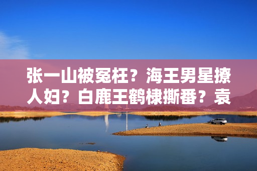 张一山被冤枉？海王男星撩人妇？白鹿王鹤棣撕番？袁冰妍复出？刘浩存搭上于正？