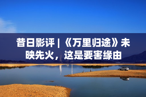 昔日影评 | 《万里归途》未映先火，这是要害缘由