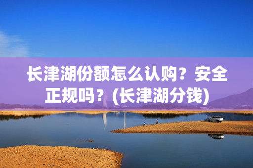 长津湖份额怎么认购？安全正规吗？(长津湖分钱)