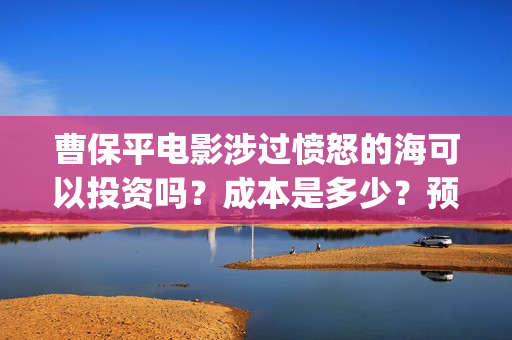 曹保平电影涉过愤怒的海可以投资吗？成本是多少？预估票房？  (曹保平的经典电影)