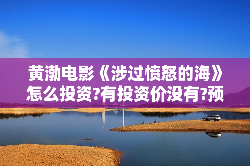 黄渤电影《涉过愤怒的海》怎么投资?有投资价没有?预估收益? 黄渤电影《涉过愤怒的海》怎么投资?有投资价没有?预估收益?
