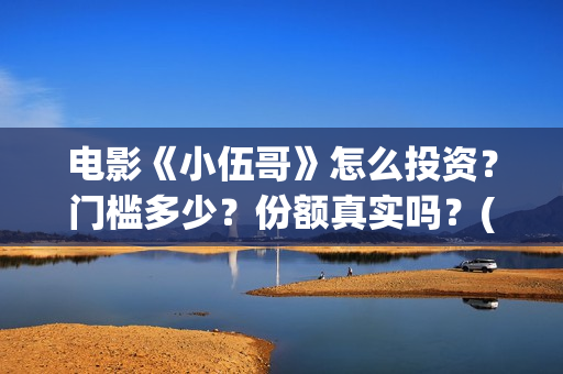 电影《小伍哥》怎么投资？门槛多少？份额真实吗？(小伍哥在线观看)