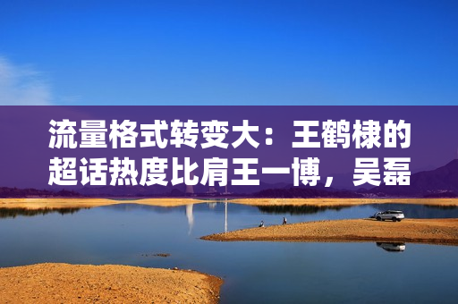 流量格式转变大：王鹤棣的超话热度比肩王一博，吴磊比肩易烊千玺