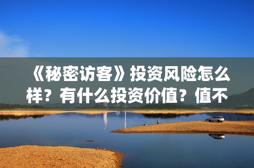 《秘密访客》投资风险怎么样？有什么投资价值？值不值得投资？(秘密访客票房破亿 视频)
