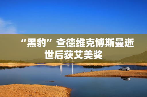 “黑豹”查德维克博斯曼逝世后获艾美奖