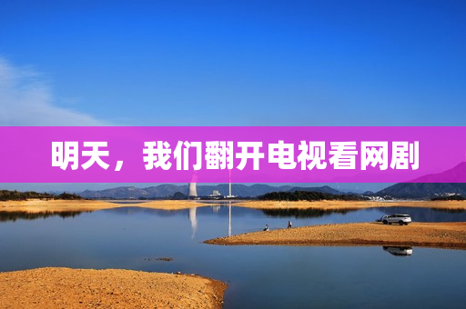 明天，我们翻开电视看网剧