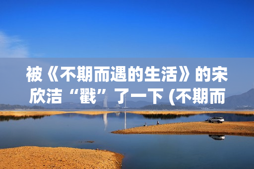 被《不期而遇的生活》的宋欣洁“戳”了一下 (不期而遇的作者)