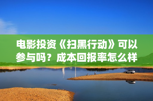 电影投资《扫黑行动》可以参与吗？成本回报率怎么样？是保本的吗？(扫黑这部电影)