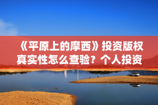 《平原上的摩西》投资版权真实性怎么查验？个人投资规避哪些风险？(平原上的摩西主要讲了什么)
