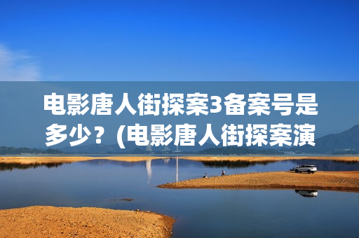 电影唐人街探案3备案号是多少？(电影唐人街探案演员表)