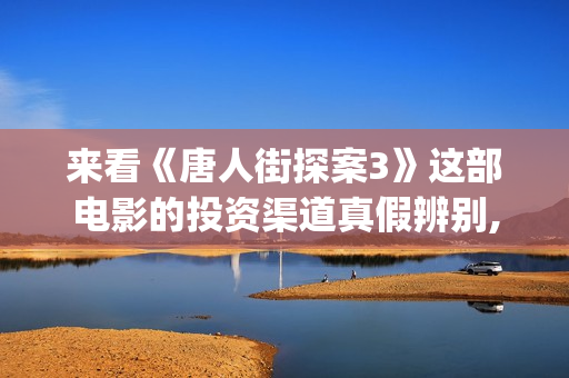 来看《唐人街探案3》这部电影的投资渠道真假辨别,成本收益的来源有哪些？(我想看唐人街探案的)