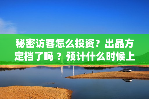 秘密访客怎么投资？出品方定档了吗 ？预计什么时候上映？(秘密访客访客)