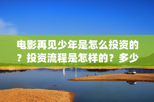 电影再见少年是怎么投资的？投资流程是怎样的？多少起投？(电影再见少年真实事件原型)