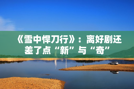 《雪中悍刀行》：离好剧还差了点“新”与“奇”