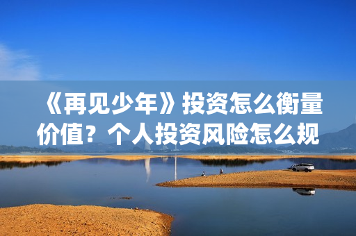 《再见少年》投资怎么衡量价值？个人投资风险怎么规避？投资门槛多少？(再见少年上映了吗)