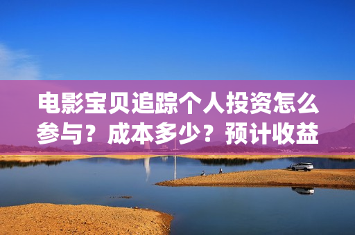 电影宝贝追踪个人投资怎么参与？成本多少？预计收益(宝贝追踪剧情介绍)