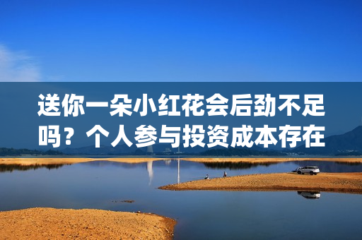 送你一朵小红花会后劲不足吗？个人参与投资成本存在溢价吗？(送你一朵小红花 歌曲)