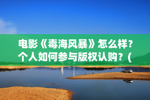 电影《毒海风暴》怎么样？个人如何参与版权认购？(毒海风暴有哪几个公司参与)