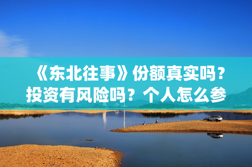 《东北往事》份额真实吗？投资有风险吗？个人怎么参与投资？(东北往事原文)