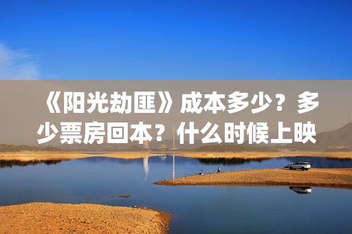 《阳光劫匪》成本多少？多少票房回本？什么时候上映？(阳光劫匪深意)