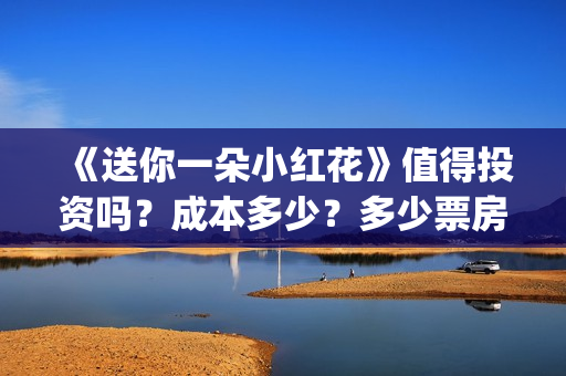 《送你一朵小红花》值得投资吗？成本多少？多少票房回本？(送你一朵小红花mp3下载)