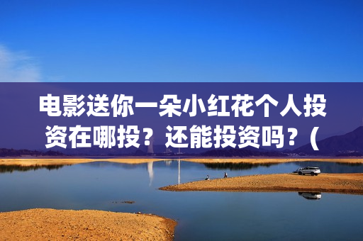 电影送你一朵小红花个人投资在哪投？还能投资吗？(电影送你一朵小红花演员表)