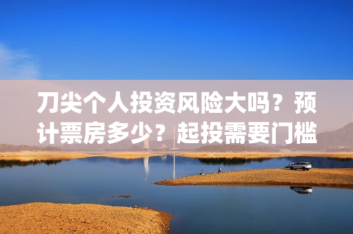 刀尖个人投资风险大吗？预计票房多少？起投需要门槛吗？(刀尖宣传片)