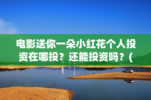 电影送你一朵小红花个人投资在哪投？还能投资吗？(电影送你一朵小红花讲述的主题是抗癌吗)