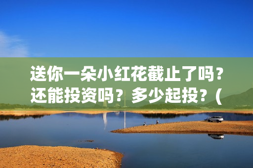 送你一朵小红花截止了吗？还能投资吗？多少起投？(送你一朵小红花电影)