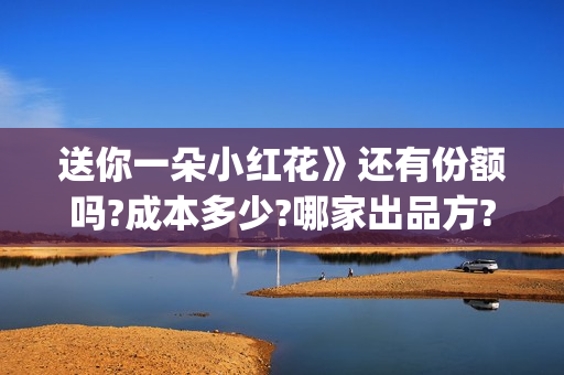 送你一朵小红花》还有份额吗?成本多少?哪家出品方?(送你一朵小红花简谱)