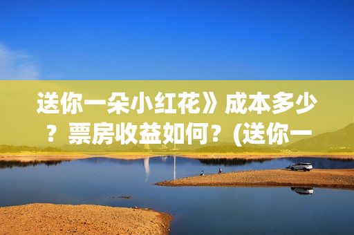 送你一朵小红花》成本多少？票房收益如何？(送你一朵小红花电影)