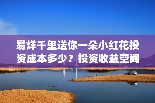 易烊千玺送你一朵小红花投资成本多少？投资收益空间大吗？(易烊千玺送你一朵小红花演唱会)